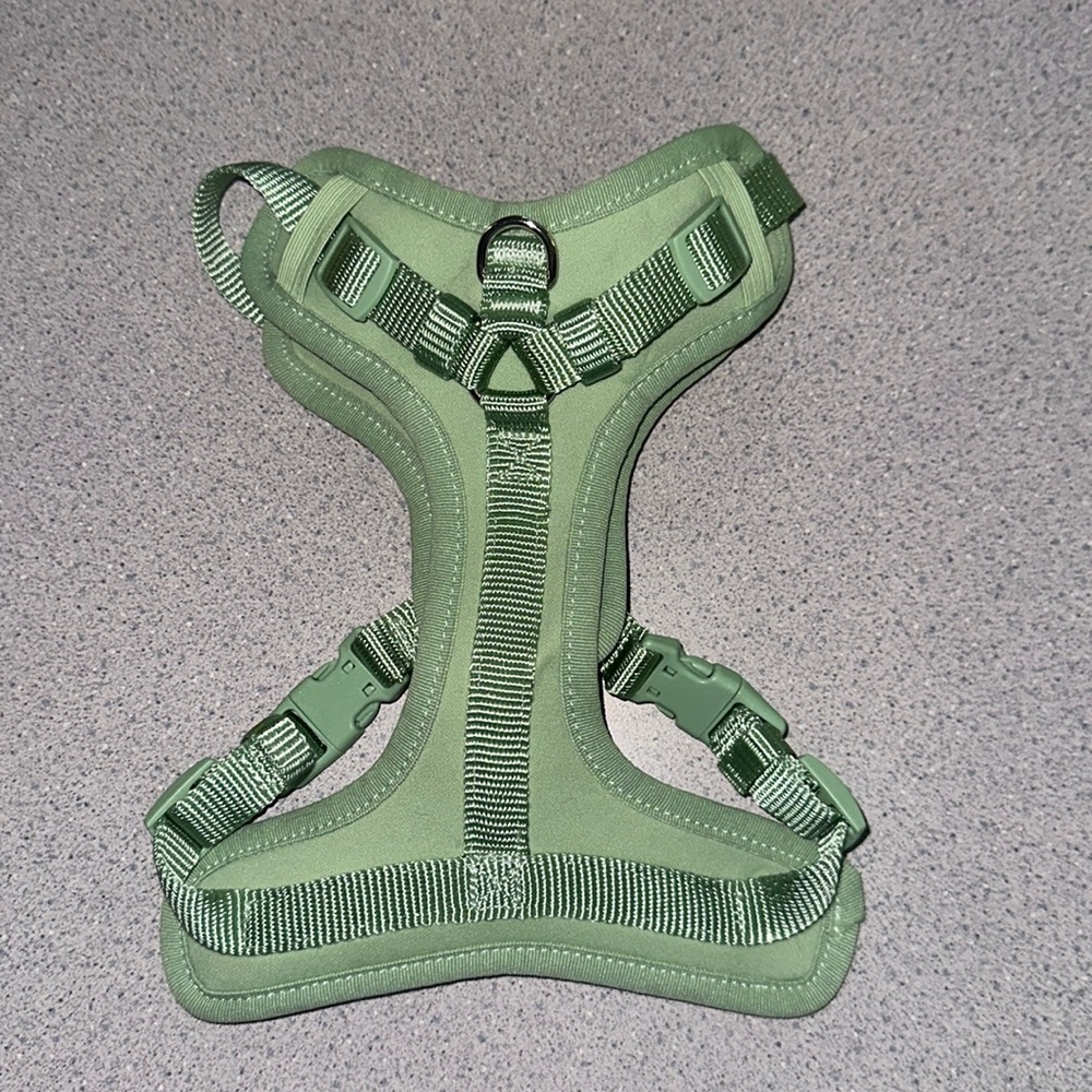 Harness for dog